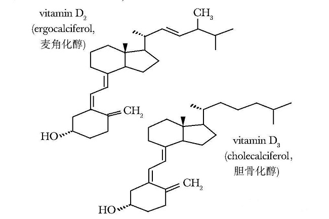 [药学科普]维生素d,阿法骨化醇,骨化三醇有啥区别?